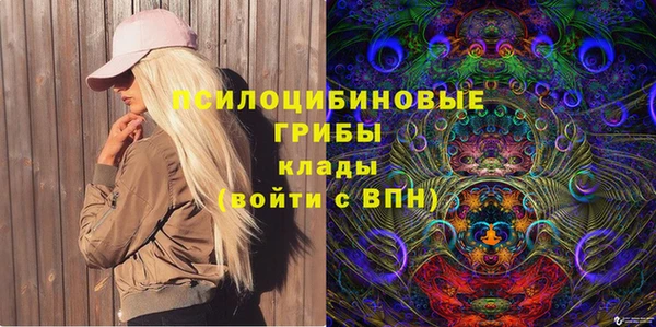 мяу мяу мука Алексеевка
